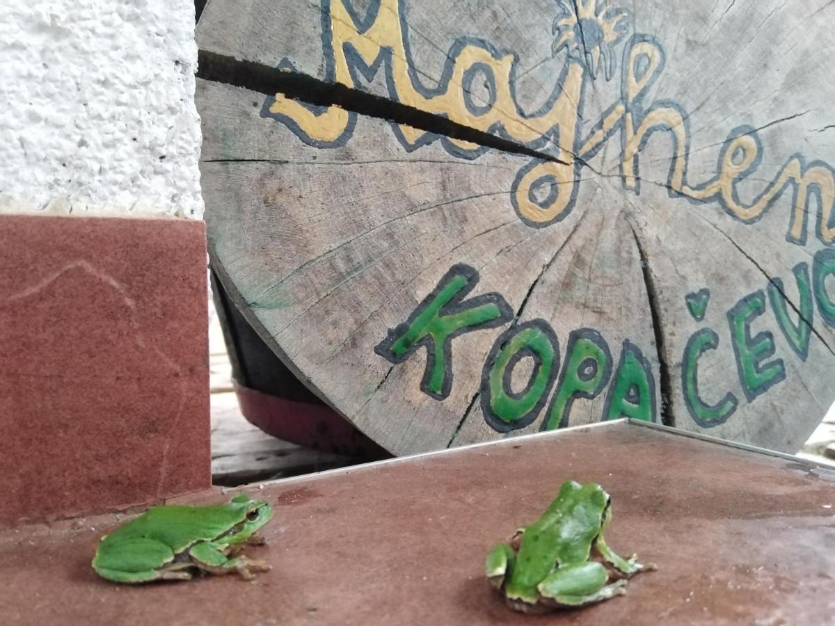 B&B Majhen Kopacevo Exterior foto