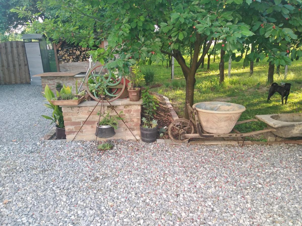 B&B Majhen Kopacevo Exterior foto
