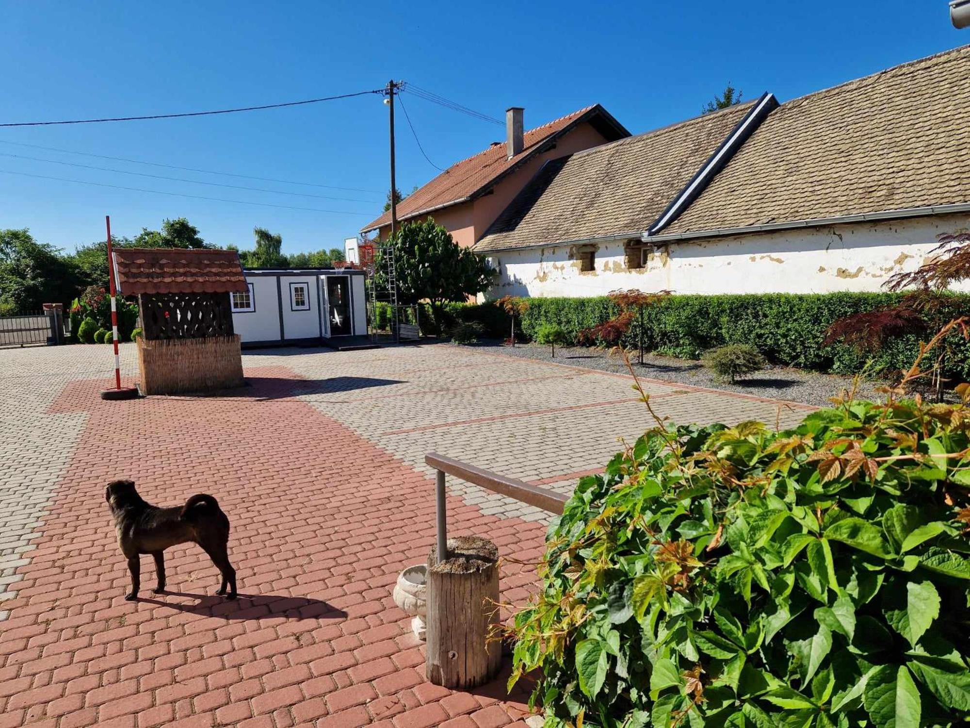 B&B Majhen Kopacevo Exterior foto